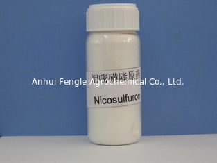 Nicosulfuron 97% TC, ogólnoustrojowy selektywny zabójca chwastów liściastych, białawy proszek