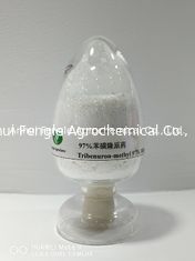 95% Tc Tribenuron Methyl Herbicyd Powder CAS No.101200-48-0