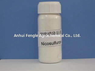 Herbicyd Nikosulfuron 97% TC Nr CAS 111991-0904