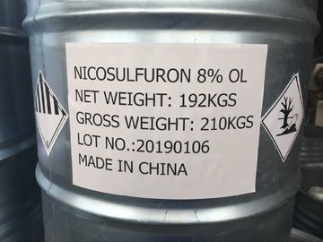 Nicosulfuron 80g / L OD, mlecznobiały płyn, Broadleaf Grass Killer For kukurydza