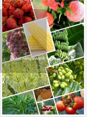 25057-89-0 Agrochemiczne pestycydy Herbicyd Bentazon 95% TC