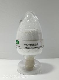 Tribenuron-methyl95% TC, herbicyd rolniczy, chwasty szerokolistne po wzejściu